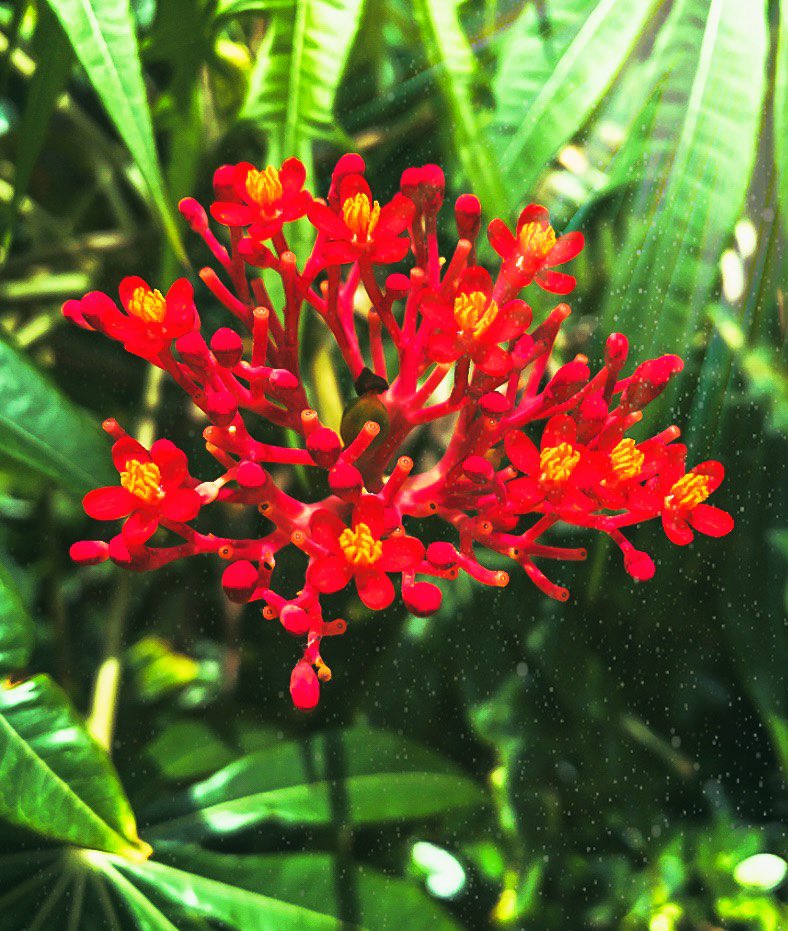 blahsoreal's tweet image. I’m bored so here’s a photo I took and edited. I really like it ❤️❤️❤️🖤