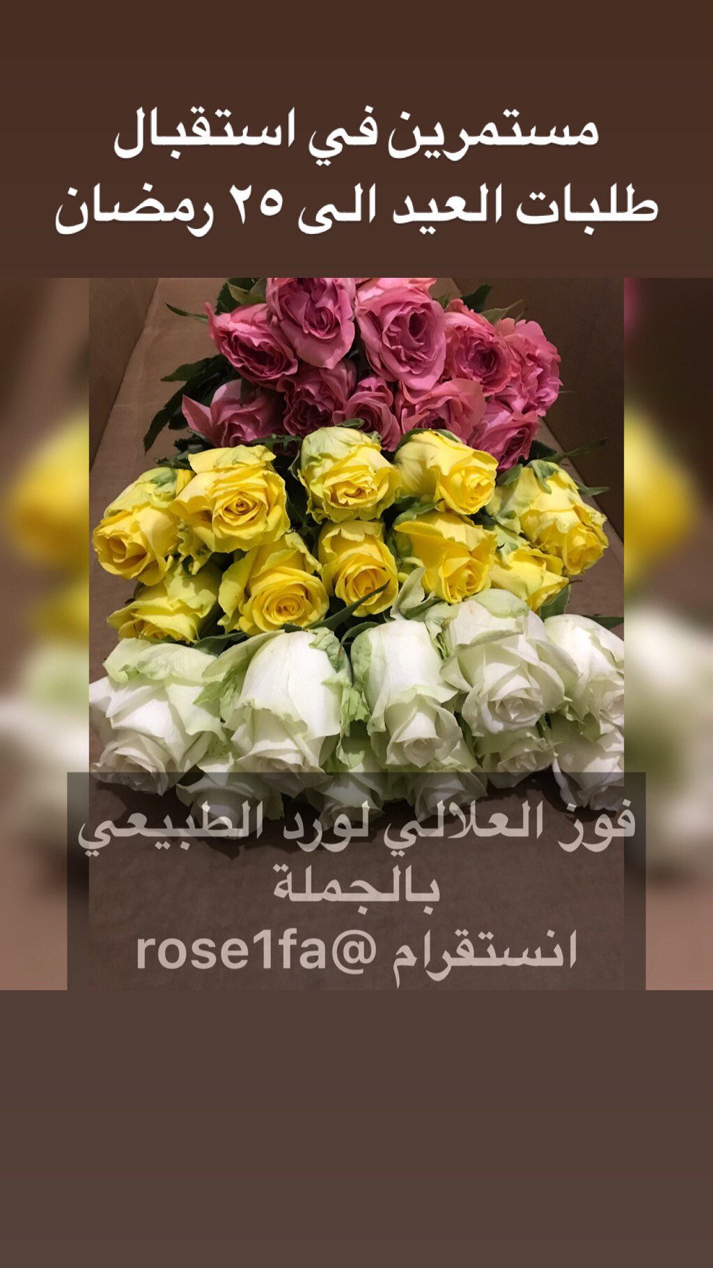 ورد بالجملة الرياض rose1fa twitter