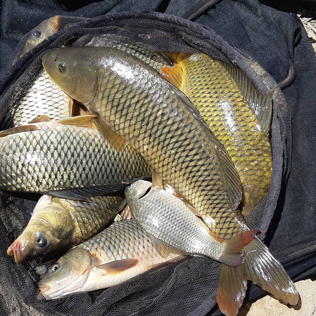 Mengiclima's tweet photo. Mañana de pesca en el Vívoras,un bonito escenario. https://t.co/GMRT53NdTh