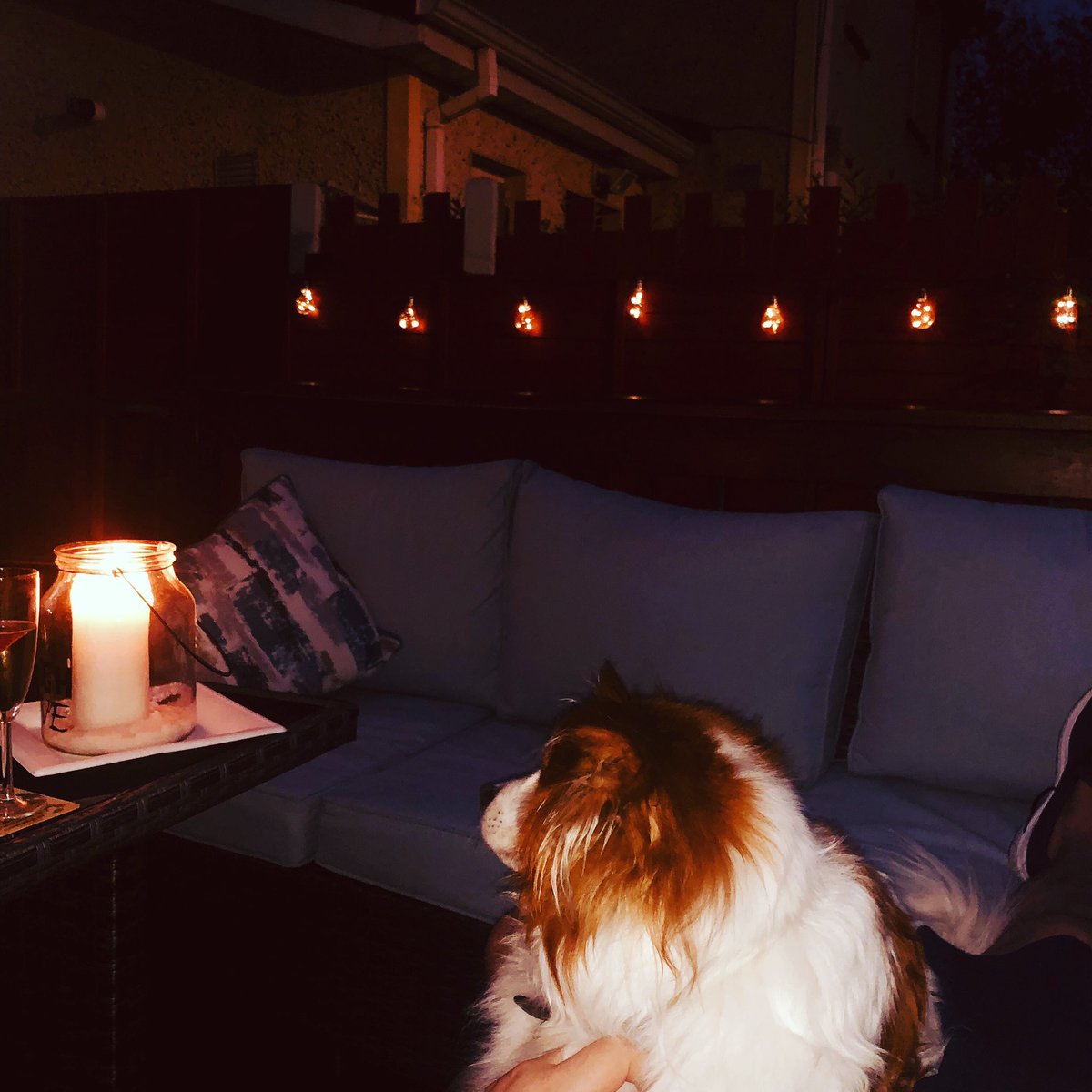 lynseY minihan tweet media