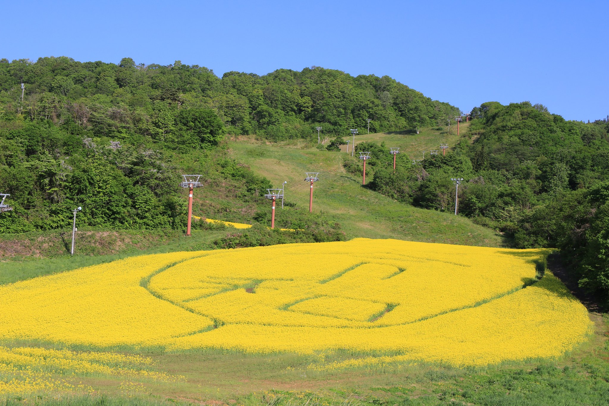 メガ 三ノ倉高原花畑 菜の花 19 05 25 菜の花 令和 菜の花のように 凛 としつつ 優しい 年号の年になりますように ファインダー越しの私の世界 ふくつぶ 行くぜ東北 春の東北 東北が美しい 三ノ倉 三ノ倉高原菜の花畑 喜多方 福島 メガ 三ノ倉高原花畑 菜の花 19 05 25 菜の花 令和 菜の花のように 凛 としつつ 優しい 年号の年になりますように ファインダー越しの私の世界 ふくつぶ 行くぜ東北 春の東北 東北が美しい 三ノ倉 三ノ倉高原菜の花畑 喜多方 福島