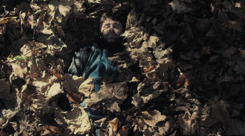 festivaldecans's tweet photo. O premio do público á mellor curtametraxe de Ficción e Animación de #Cans19 é para O neno bonito, de Fran X. Rodríguez https://t.co/ErHWQuG8ep