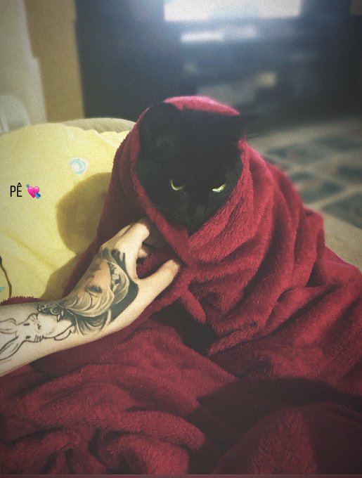 tá frio ?? https://t.co/L9RbMIWiSf