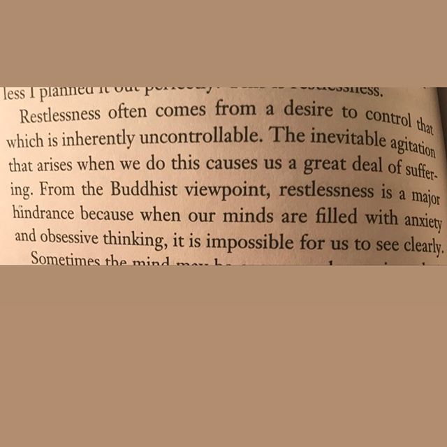 Leannehealy83's tweet image. This is powerful how #restlessness can control so much of our lives and stop us from been present in our day to day life💚 
#meditation #iskey #innerpeace bit.ly/2HVBUCE