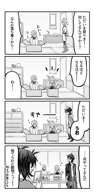 ダンボールと捨てられた貞宗の皆さん 