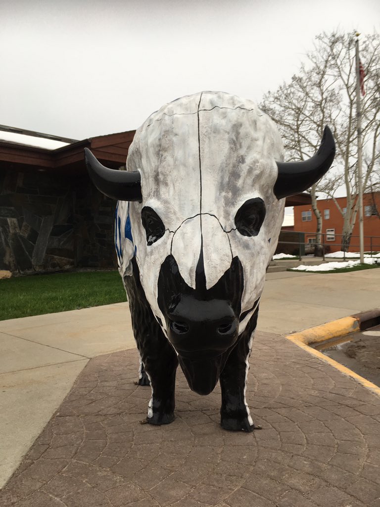 EpiJackie's tweet photo. A bit of bison anatomy in Custer, South Dakota #Havemeyer #EquineAsthma https://t.co/0LTAivmMvx