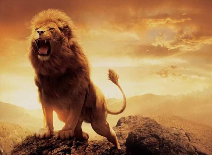 ApologistsK's tweet photo. #crossover101
#SalvationSaturday
#apologistsinkenya
#stroke7design
Once again we as The Bride of Christ in Kenya have a reason to praise and give thanks to God for the ruling against the Legislation of LGBTQ+ agenda. We prayed and He has answered. The Lion Of Judah reigns. https://t.co/IvThkG5uTa
