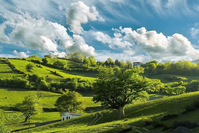 IranToursMCN's tweet photo. Kelardasht is a city and capital of Kelardasht District, in Chalus County, Mazandaran Province, Iran.                                #iran #travel #tour #tours #tourism #irantoursmcn https://t.co/EBaLpntRU6