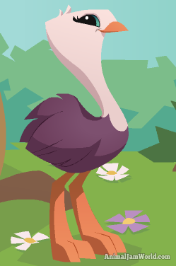 AnimalJamWorld's tweet photo. Animal Jam Ostriches - Will They Be Released?! - https://t.co/prT57Pq9OW https://t.co/u6r00oanAY