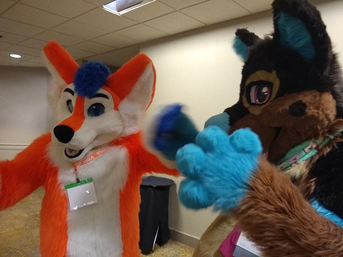 SaiMellowburn's tweet photo. Soren going in for a #BoopAttack on Zephyr https://t.co/hUSGzNl7HY