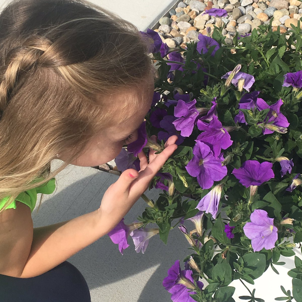 PaddockSprings's tweet photo. Time to stop and smell the flowers! #campusincolor #trilogyliving #paddocksprings https://t.co/BN2C9qORCW