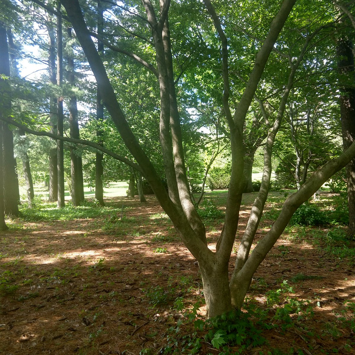 thinkalot's tweet image. How nice to be far from from the madding crowd.
#1goodthing