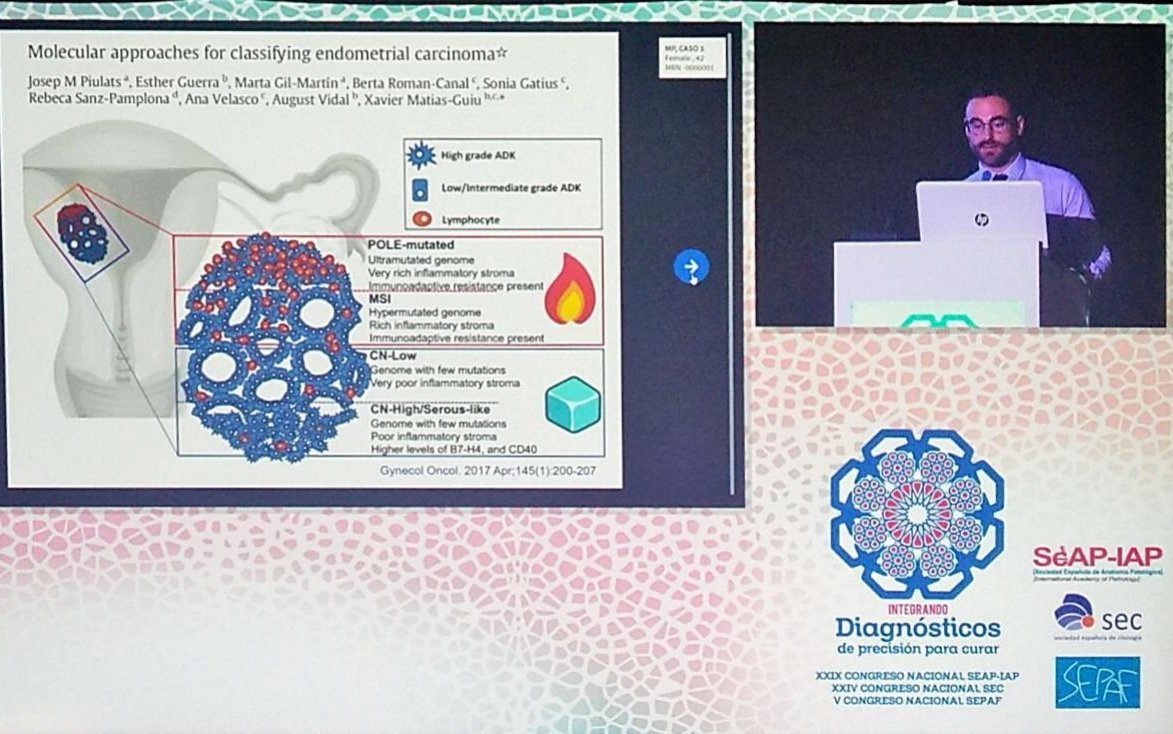 Mario Prieto MD PhD tweet media