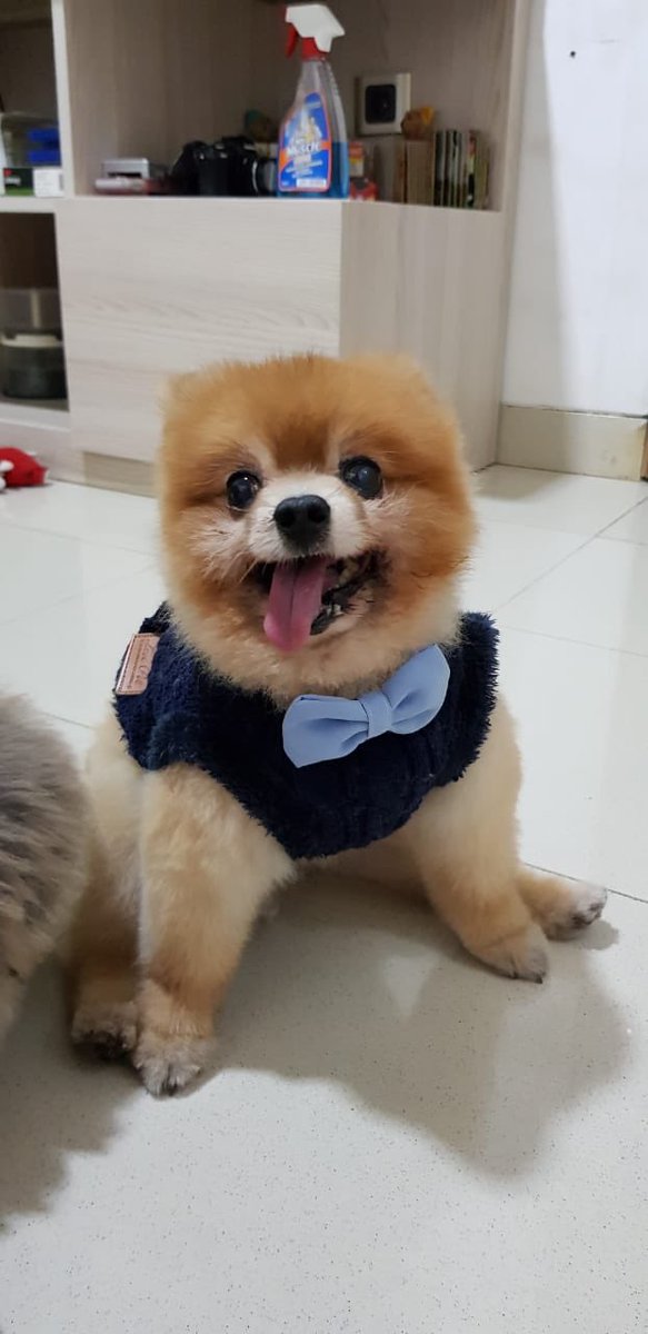 My main source of happiness left me 🥺