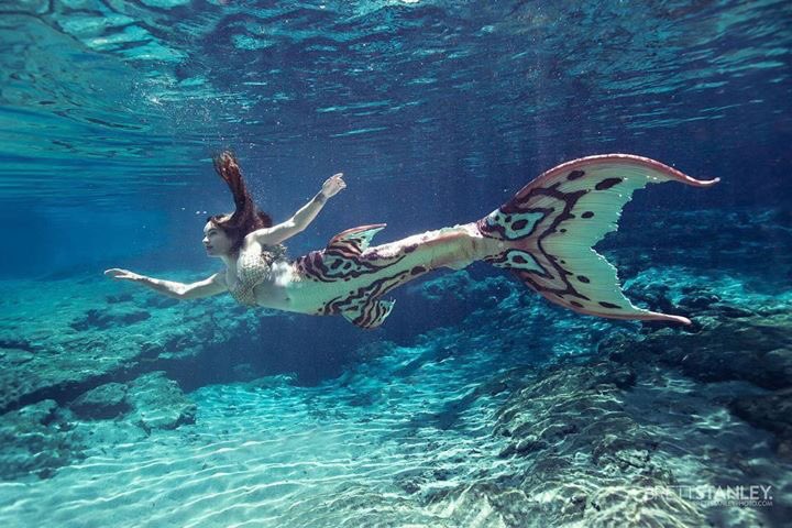 Mermaid Shellsea tweet media