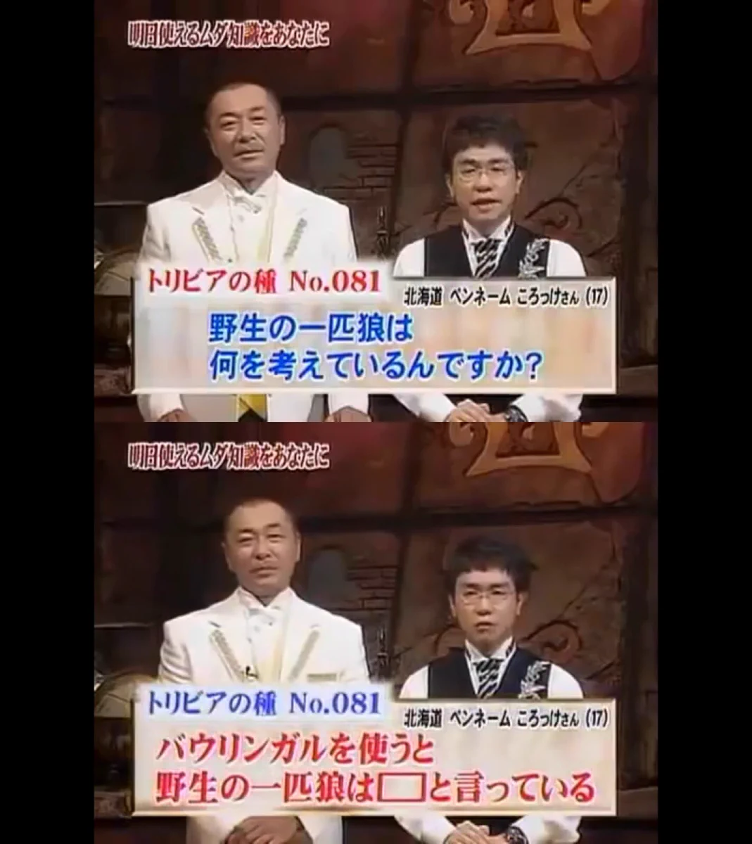 トリビアの泉！一匹狼がなんと言ってるかをバウリンガルで解析してみた！！！