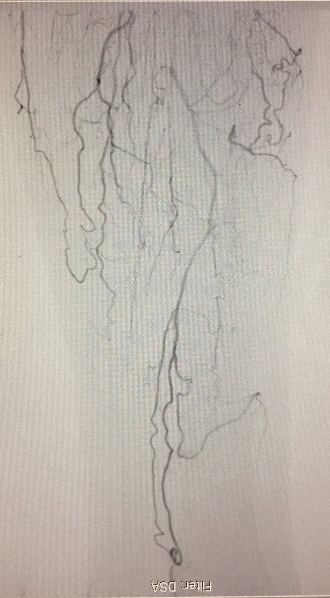 Arthur Lee tweet media