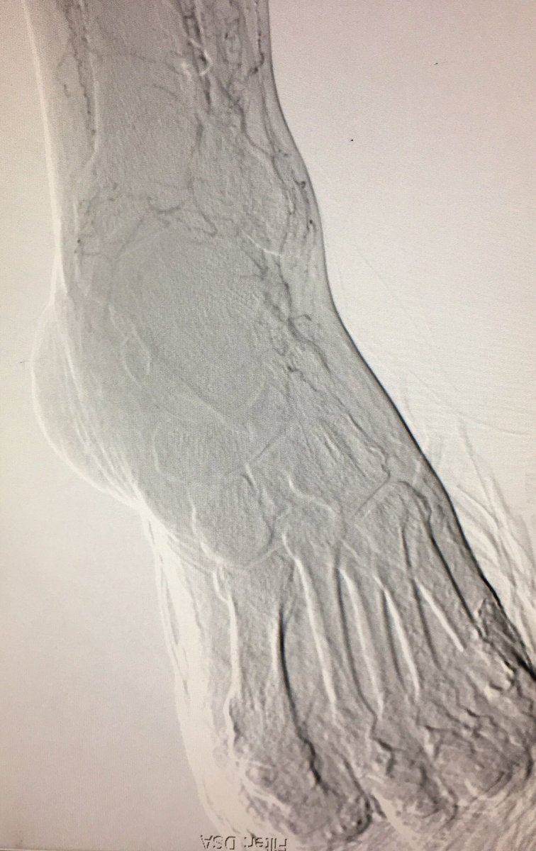 Arthur Lee tweet media