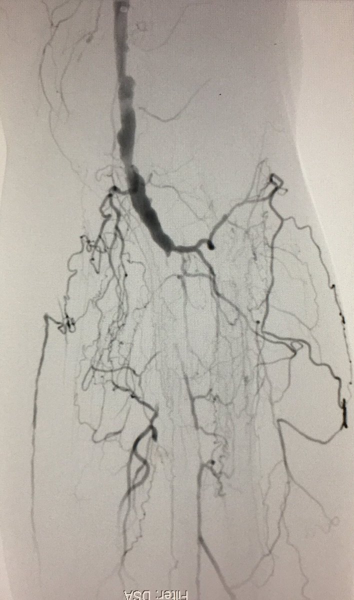 Arthur Lee tweet media