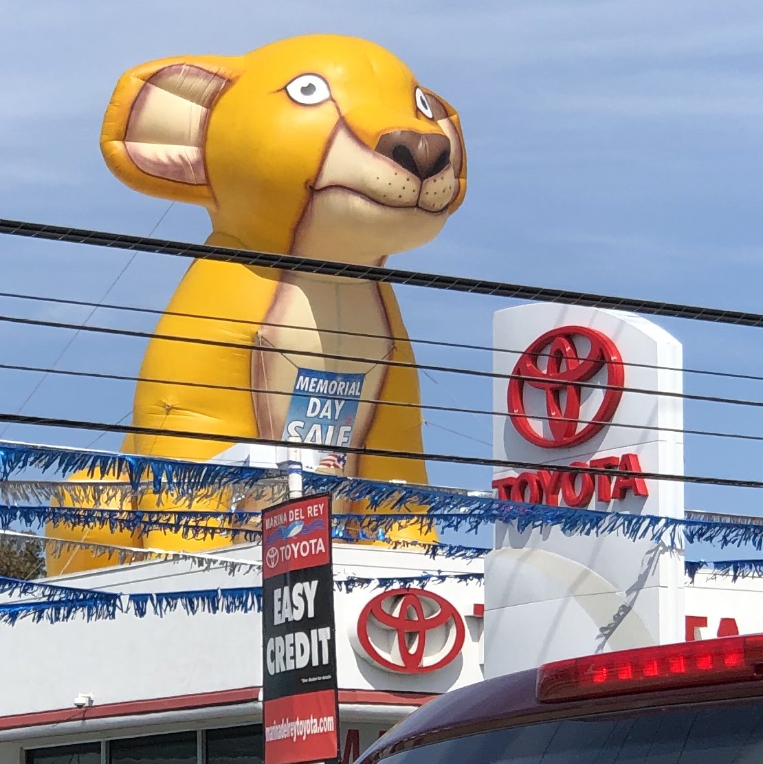 Tim Carras tweet media