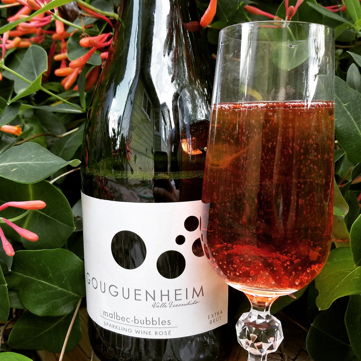 Gouguenheim Malbec Bubbles Sparking rosé, Extra Brut (Mendoza, Argentina).

Very tiny bubbles, pretty pink in color.  Raspberry, strawberry, orange, and maybe a teeny bit of spice. 

A nice wine to celebrate my 37th birthday today!

Purchased on sale for  $10.99.