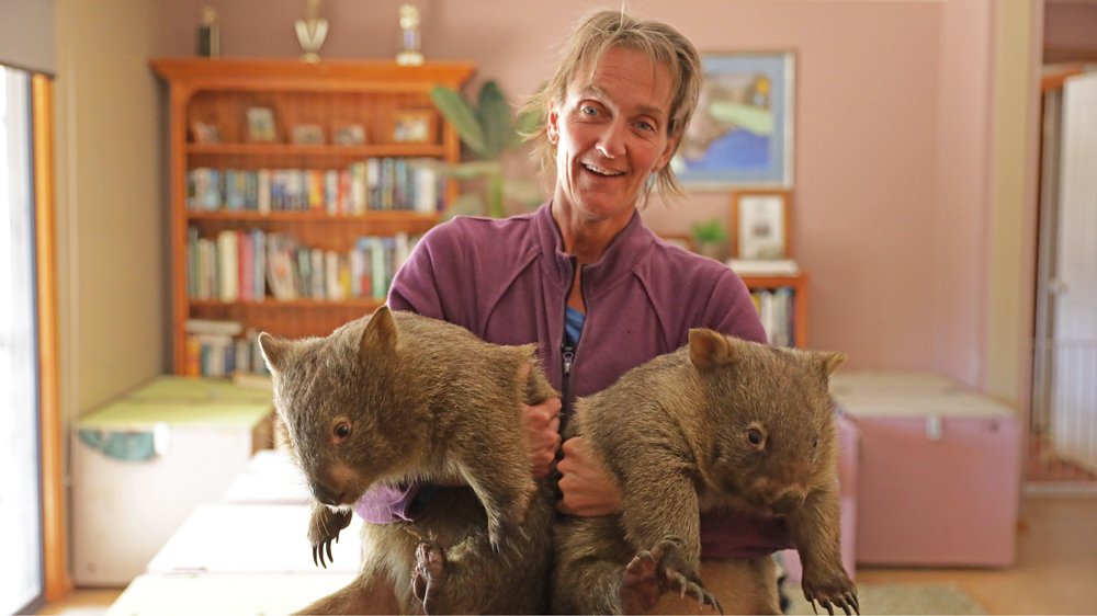 AJEnglish's tweet photo. The Australian wombat is under threat from an agonising disease, @AJ101East meets the woman trying to save them https://t.co/X7YudDPvgw https://t.co/xQitVD7JQj