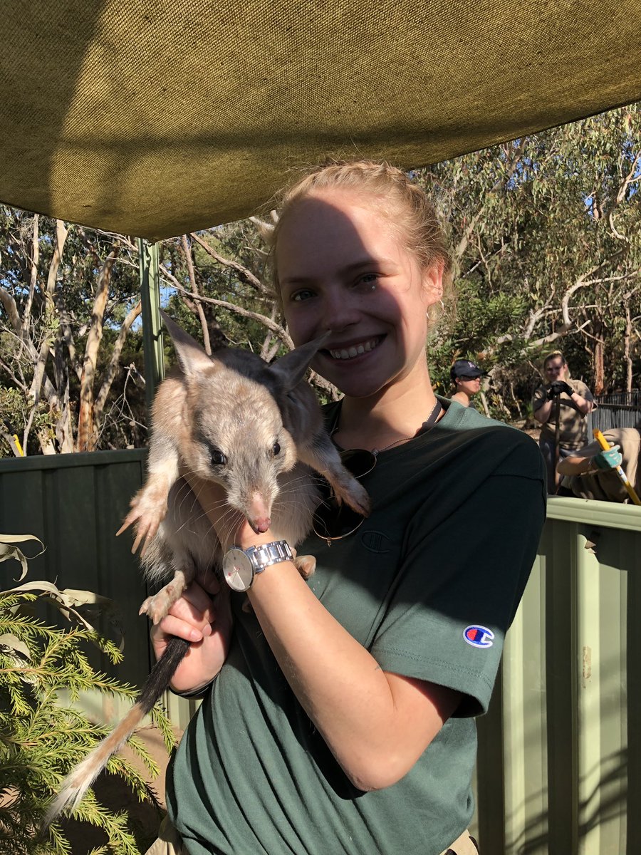 Killllllllllaaa's tweet photo. Here’s some pics from Australia. if you’re wondering, I’m thriving. (These are all trained animals and I have proper handling and vaccine requirements so please don’t do this with any animals you see in the wild) https://t.co/MkVjcekGmh