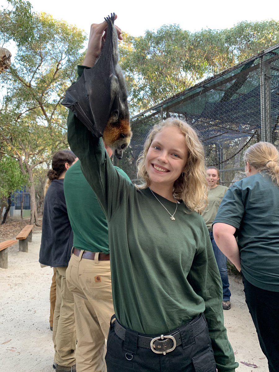Killllllllllaaa's tweet photo. Here’s some pics from Australia. if you’re wondering, I’m thriving. (These are all trained animals and I have proper handling and vaccine requirements so please don’t do this with any animals you see in the wild) https://t.co/MkVjcekGmh