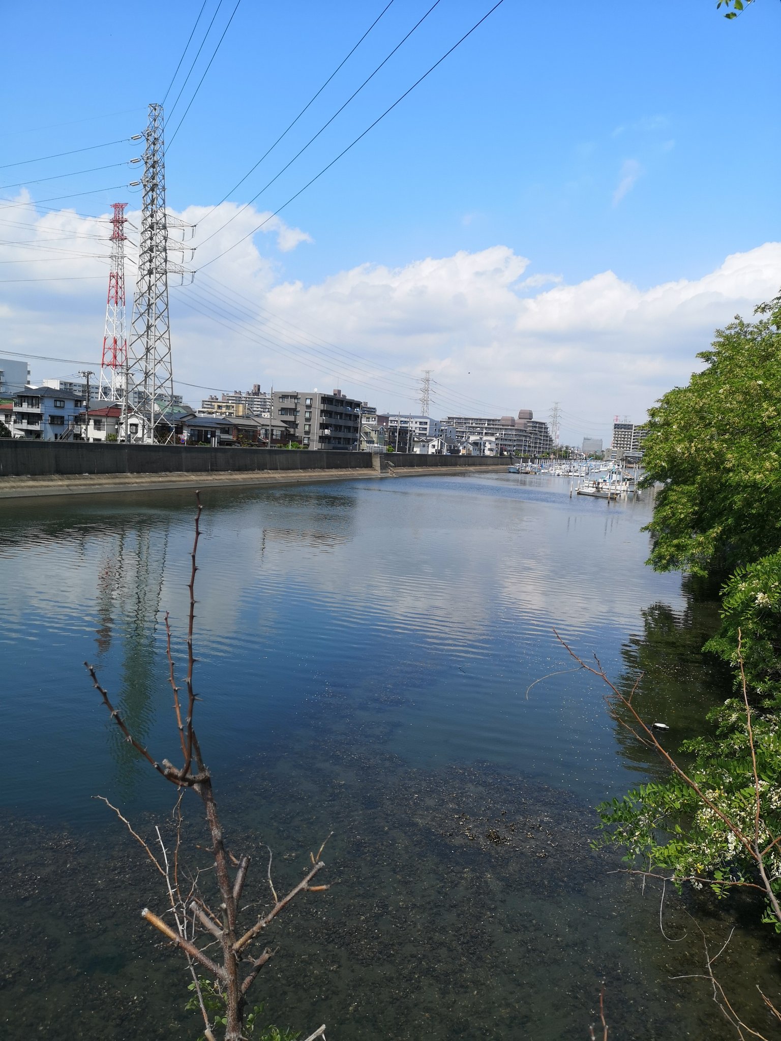 Donkor信枝 行徳 久しぶりにユニディまで行ってきました 川がきれいになったんですね 朽ちた船やゴミが一掃されていました 川沿いを使った夏のイベント希望 ユニディ 行徳 千鳥橋 川 きれい T Co Yosredtwkx Twitter