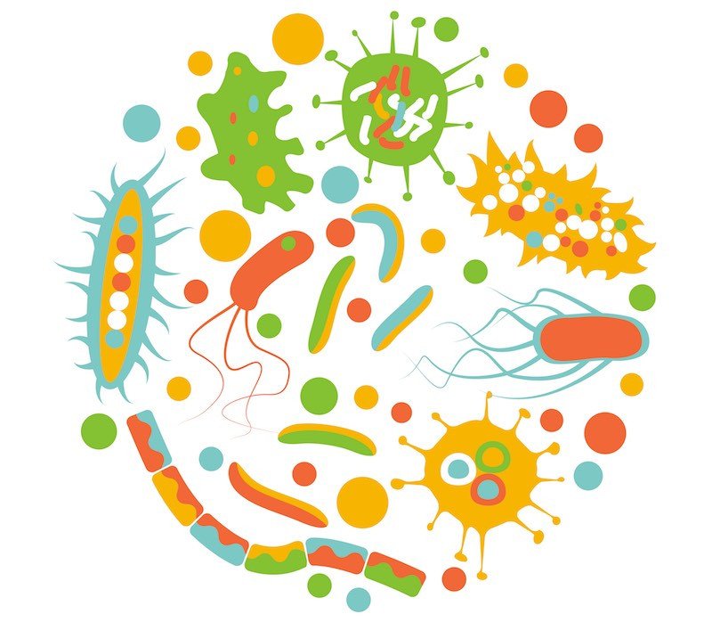 dianag_rd's tweet photo. The Latest on The Microbiome https://t.co/lgfdzoosCi https://t.co/xW8usbKOXr