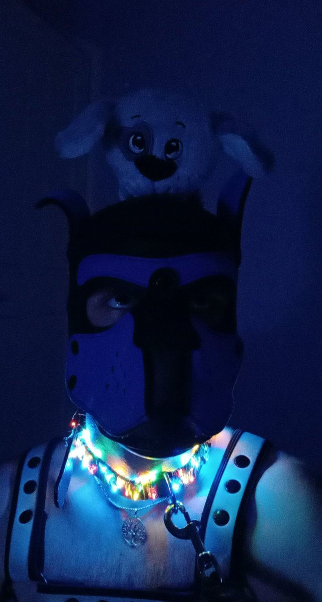 Sampup201's tweet photo. Pupperz got a new toy and managed to play fetch at Connections with Delvira. Aroooo can't wait till next time out. Aroof https://t.co/F65swt9pwM