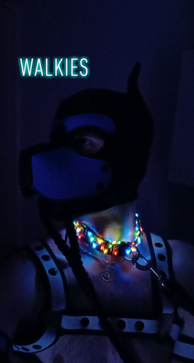 Sampup201's tweet photo. Pupperz got a new toy and managed to play fetch at Connections with Delvira. Aroooo can't wait till next time out. Aroof https://t.co/F65swt9pwM