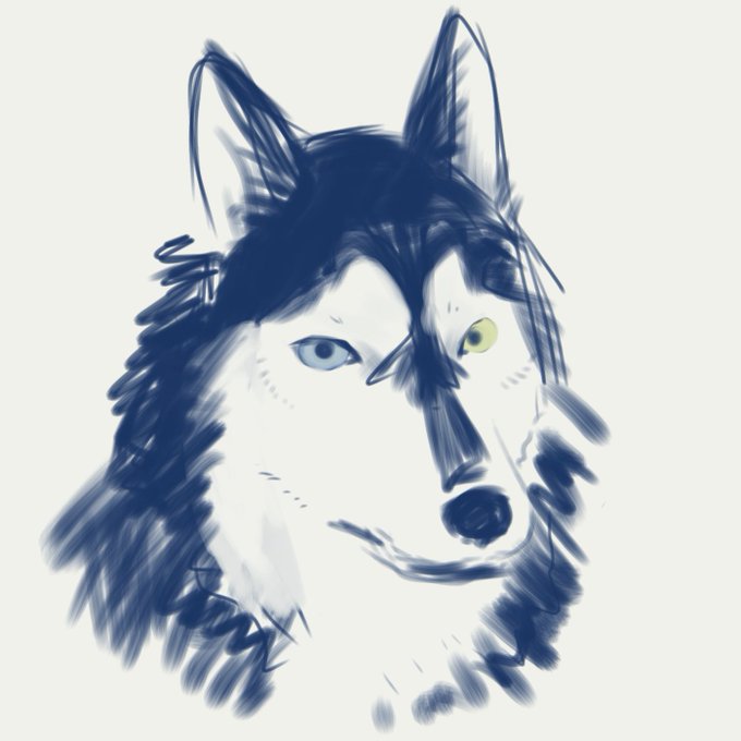 インスピレーション ハスキー 犬 イラスト 興味深い画像の多様性