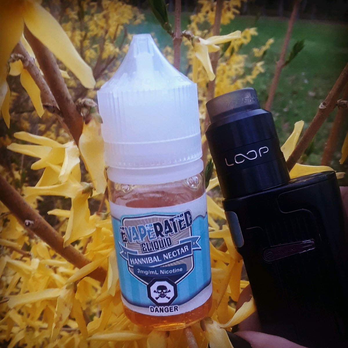 DonovaneLiz's tweet photo. Hannibal Nectar-lemon cookie,icing ,topped with raspberry drizzle by @evaperated paired with my Geekvape Loop from @vaporwave613 🍋💛💛💛 https://t.co/xye2yEcmxK