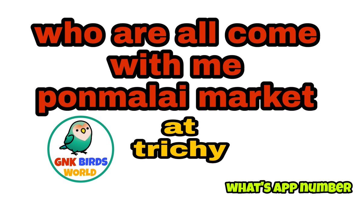 BirdsGnk's tweet photo. Sorry friends I'm posponted next week plan may 26 I'm going to Ponmalai Market who are all interested to come with me #youtube like share subscribe to our channel #gnkbirdsworld https://t.co/8ExfU0bUiT