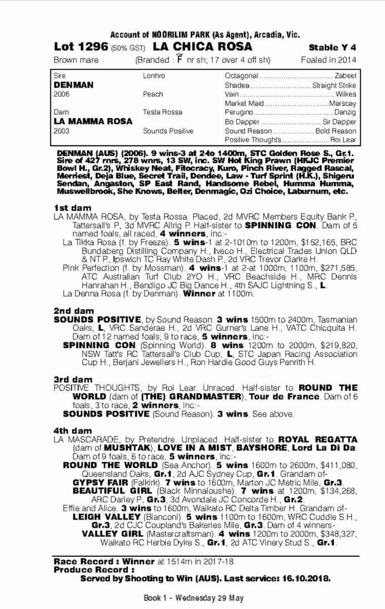NoorilimPark's tweet photo. Nice update for our mare LA CHICA ROSA in the @mmsnippets mare sale. LARSON bolts up on debut and SHOOTING TO WIN has another 2yo winner in ECLAIR BREEZE. This mare is well worth a look. Exceptional type, plenty of upside. https://t.co/OXPuIib72x