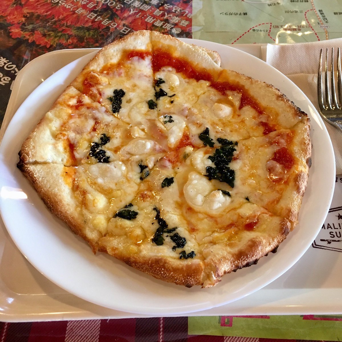 赤城山 赤城山で森林浴をした後は 大沼湖畔のトレッカーズカフェでランチ 自作の窯で焼いたマルゲリータは絶品ですよ 赤城山 トレッカーズカフェ