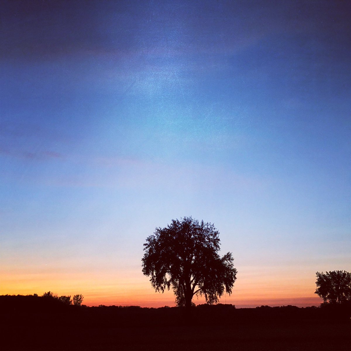 revivalfestmn's tweet photo. Sunset at #revivalfestmn #harmonypark #sunset https://t.co/PEY2xDmUNq