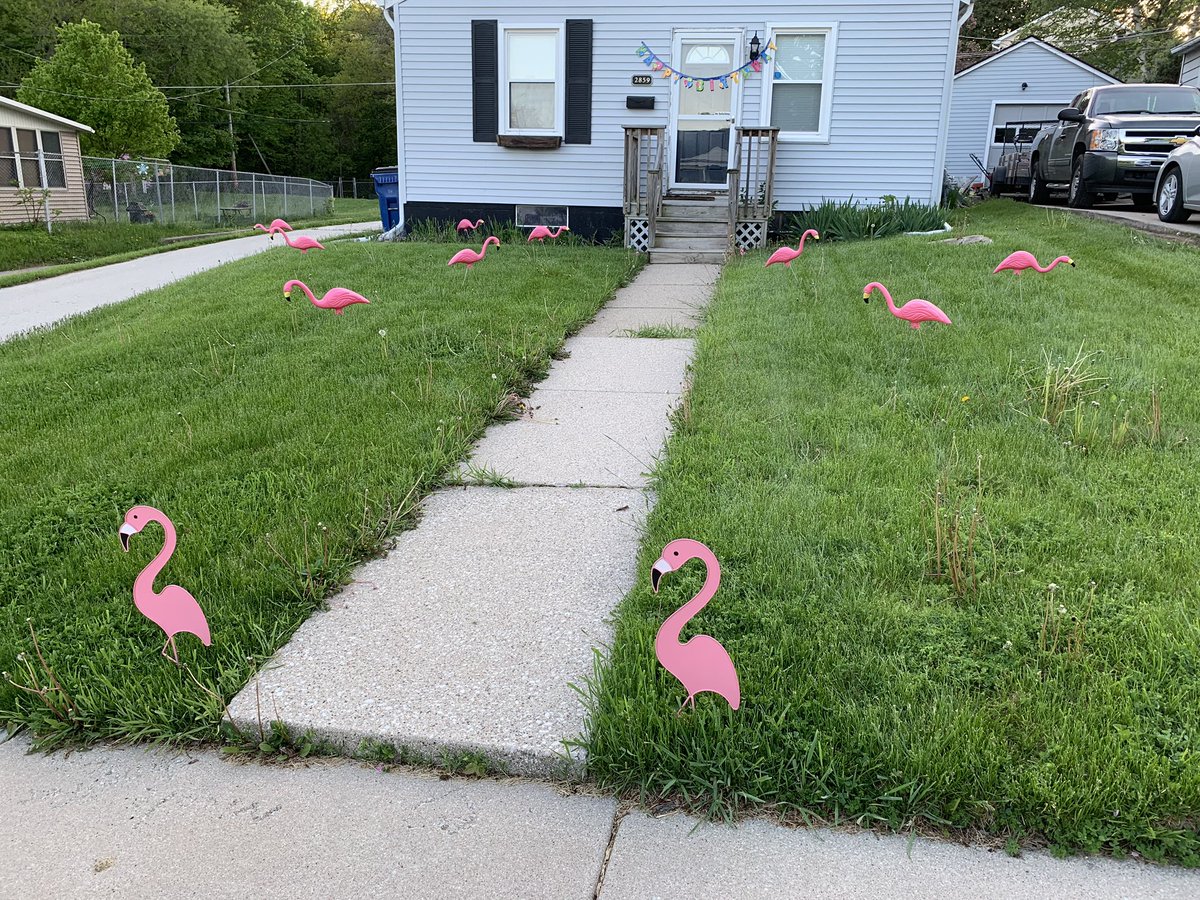 Paul_thePullbox's tweet photo. My daughter just bought a house, & today was her (& Star Wars’s) birthday. Sooo...
#Flamingoed https://t.co/5SpHSuGvEv