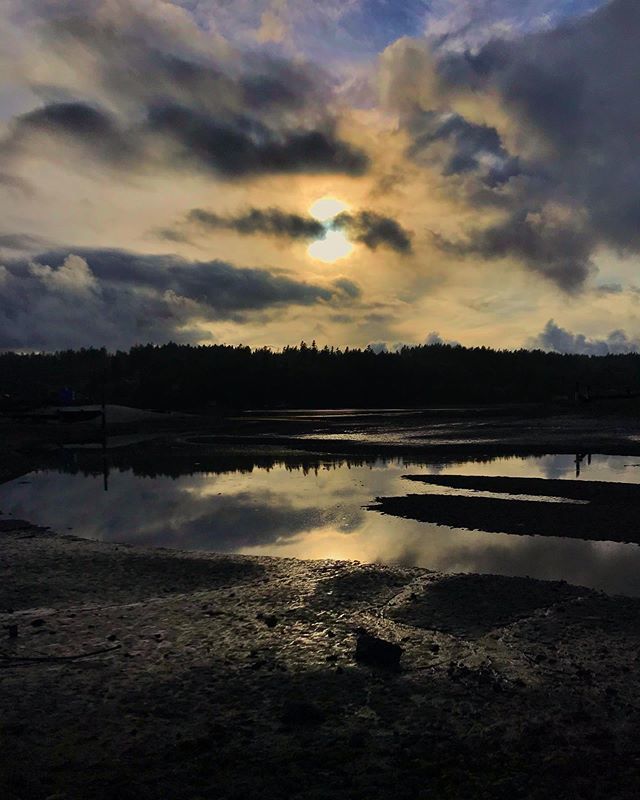 Waiting for tacos near the Purdy bridge. Even if the tacos weren’t good, I’d still come for the view. But the tacos are fantastic as well. #gigharbor #tacotruck #purdybridge bit.ly/2MjKSPE