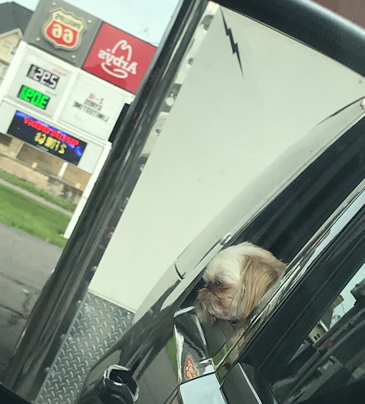 Yo get me that roast beef #stud #roaddog #Arbys