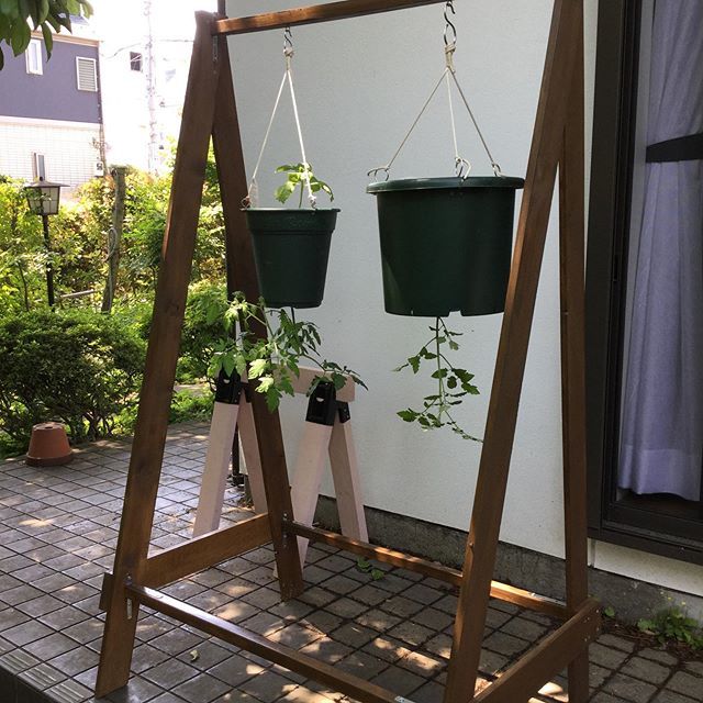 トマト 逆さま 栽培