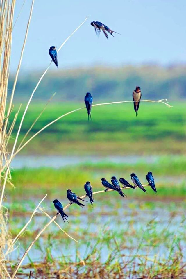 Kim Dung Nguyen tweet media