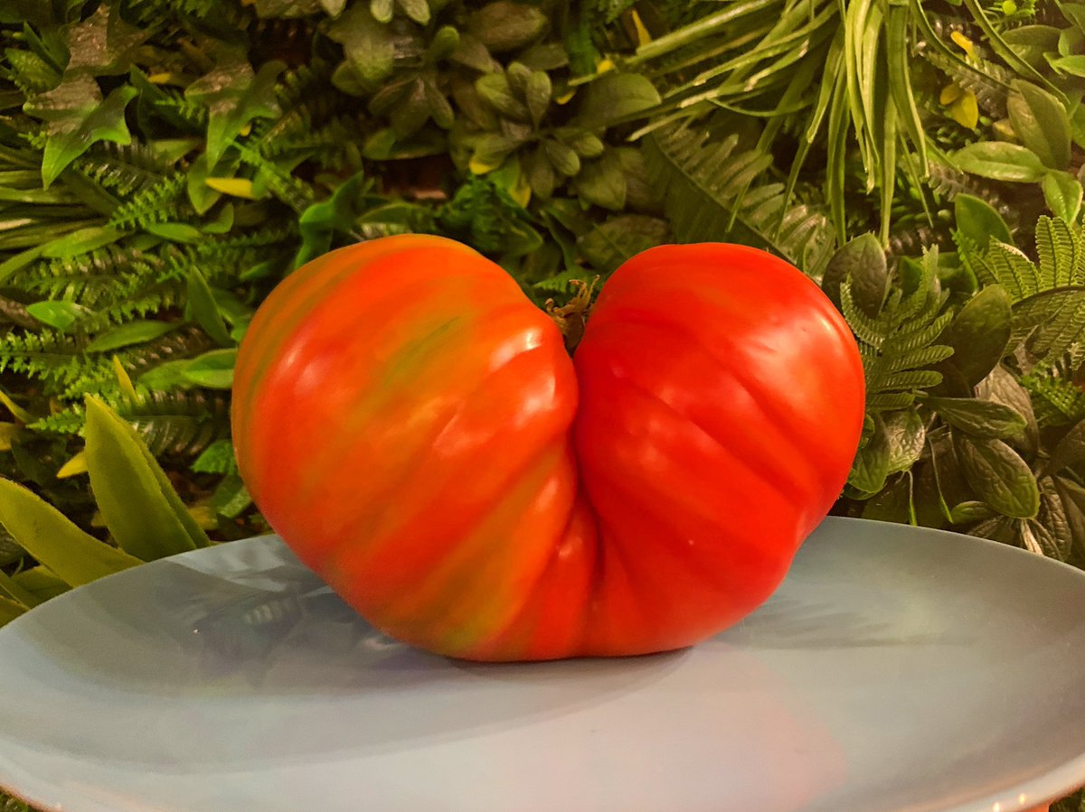 ❤️Nos encantan los sabores de nuestra infancia 🍅 Tomate que sale a tomate #Madrid #restaurante #producto