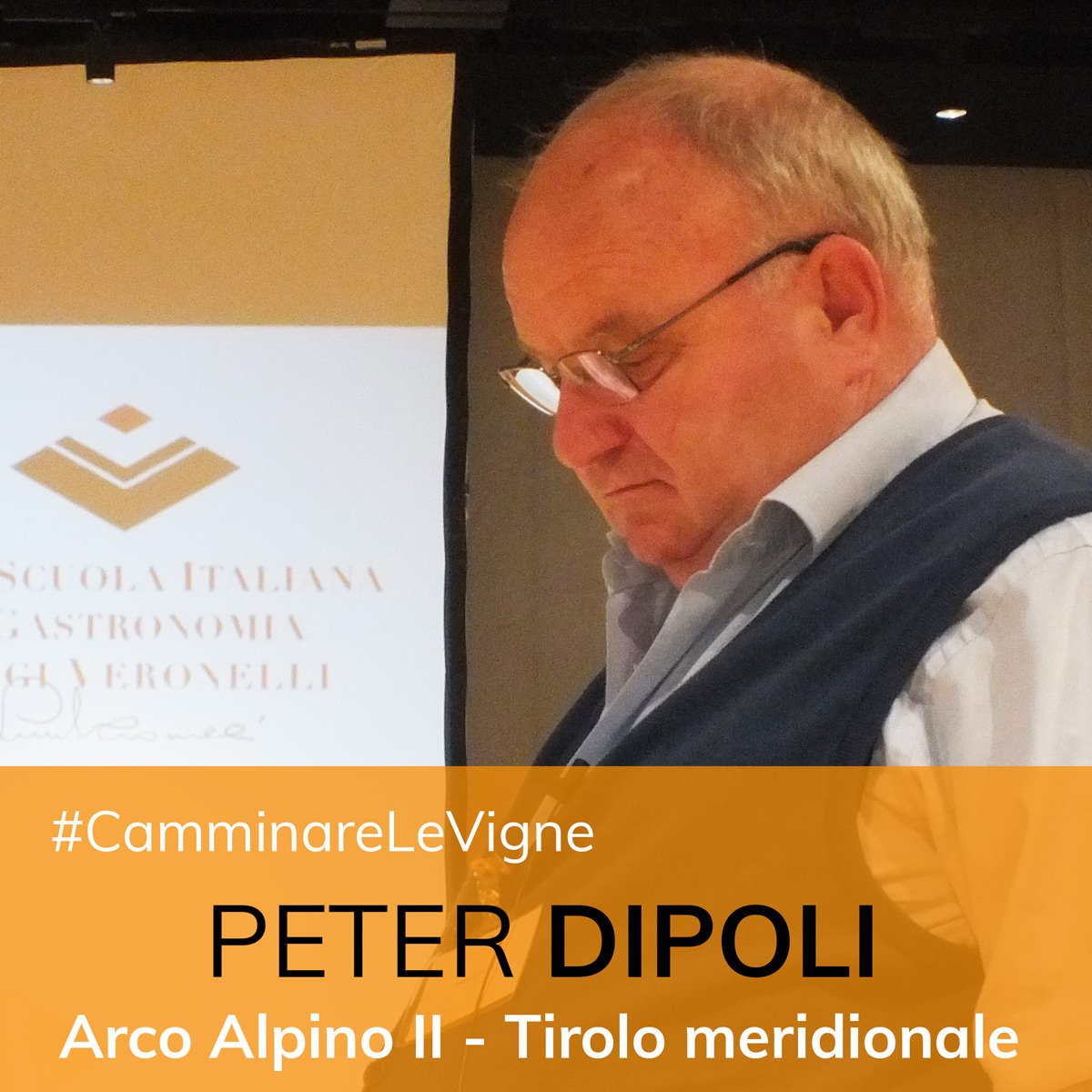 #CamminareLeVigne
VIGNE E VINI D'ITALIA - TIROLO MERIDIONALE
"La schiava da vino popolare è diventata un vino per esperti, per chi ha una visione concreta"
Peter DIPOLI

#AltaScuolaVeronelli

#PeterDipoli #LuigiVeronelli #Venezia #AltaFormazione #Vino  #SudTirol
<a href="/FondazioneGCini/">Fondaz. Giorgio Cini</a>