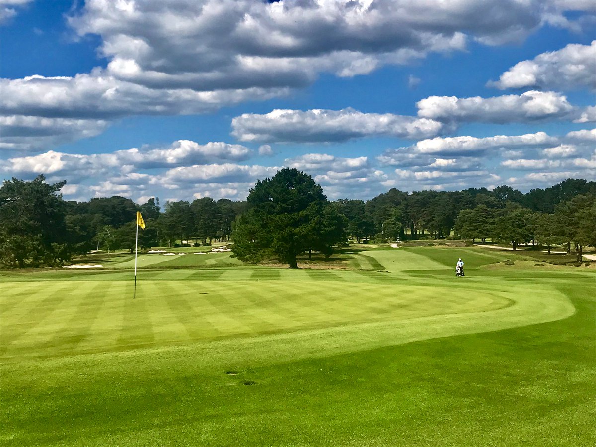 Great set up all week from the team @FerndownGC and it’s the mixed open today #festivalofgolf  #top100golfcourse