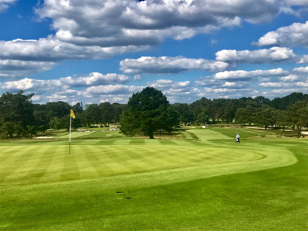 Charles Ireland (@charlesireland1) on Twitter photo Great set up all week from the team <a href="/FerndownGC/">Ferndown Golf Club</a> and it’s the mixed open today #festivalofgolf #top100golfcourse Great set up all week from the team <a href="/FerndownGC/">Ferndown Golf Club</a> and it’s the mixed open today #festivalofgolf #top100golfcourse