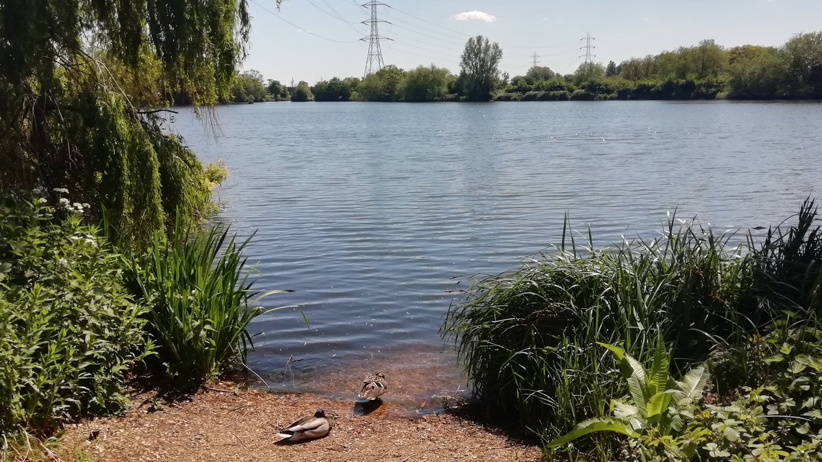 Free time Tuesday? Join me at Walthamstow Wetlands, on behalf of the London Wildlife Trust. I'll be leading photography workshops for adults &amp; children! Sign up at walthamstowwetlands.com/events-for-adu…😀🦆🐞🐌🦋 @E17Wetlands <a href="/LondonNPC/">London National Park City*</a> <a href="/LDN_environment/">LDNMayor Environment</a> <a href="/MuseumofLondon/">MuseumofLondon</a> #NationalParkCity