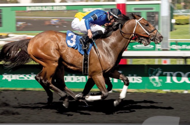 JFMIV's tweet photo. #GGFracing #WinningPhotos @JFMIV @Jockeybant @annacotsteel https://t.co/IcGIV1Fra2