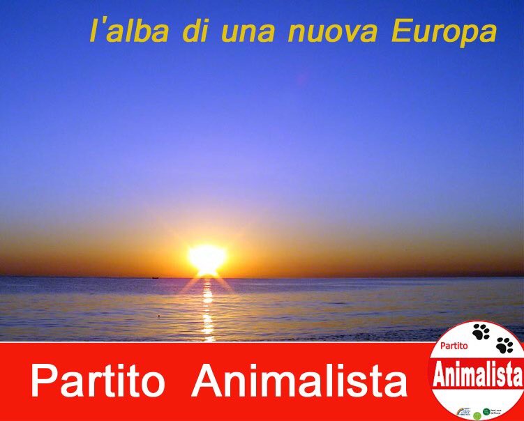 crisceriello's tweet photo. EUROPEE 2019: Aperte le Urne ...
La Scelta ORA C'E' !!
#PartitoAnimalista #AnimalPoliticsEU #Animalisti #Animalismo #ElezioniEuropee2019 #Ambientalismo #DirittiAnimali #GoVegan #Vegetariani #MaltrattamentiAnimali #Europee2019 #VeganOk #CambiamentiClimatici #Ambientalisti #Pdvd https://t.co/hGOj2NDedr